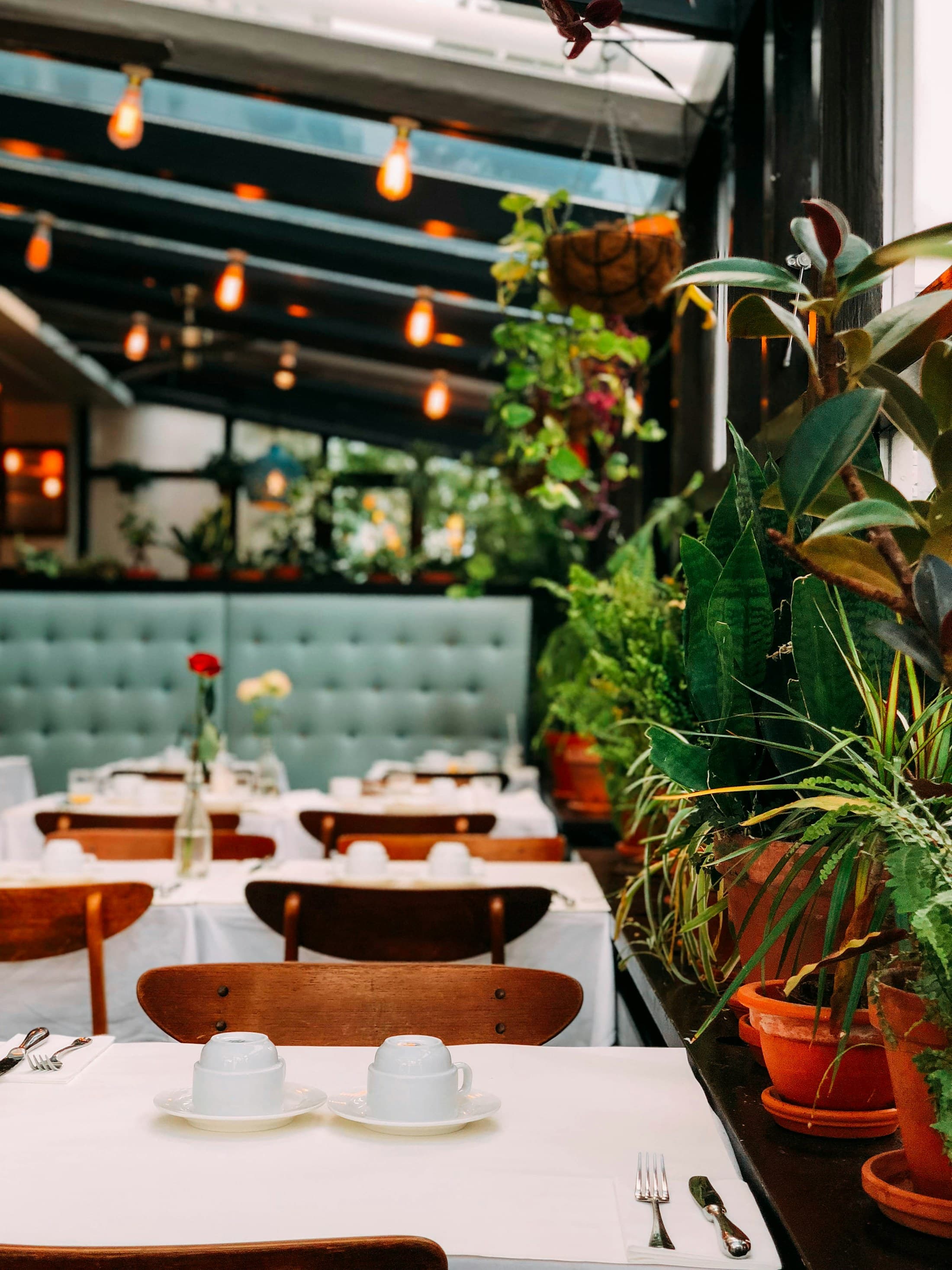 A green velvet banquette beside white tablecloths and indoor plants.